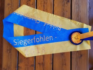 Birkhof_Siegerfohlen_2018